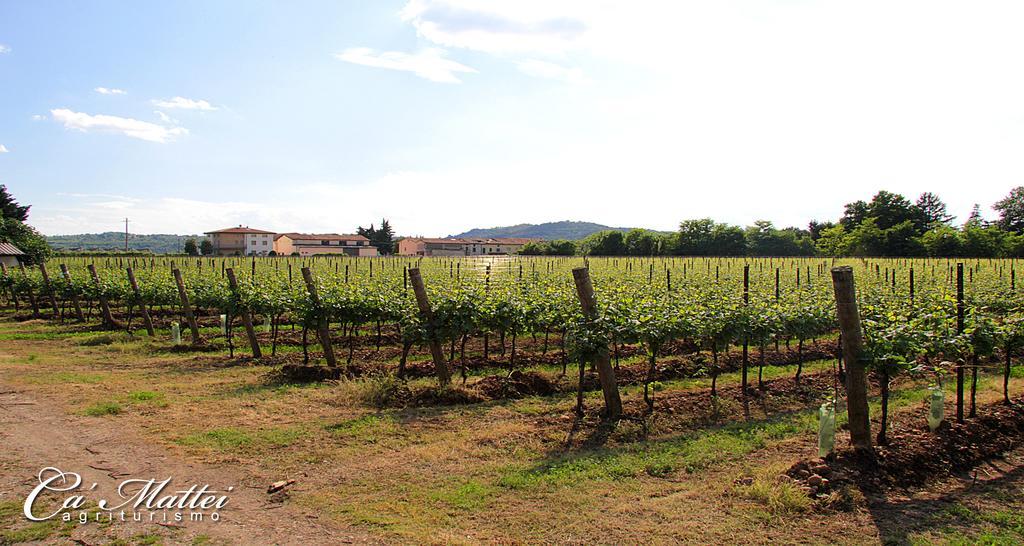 Agriturismo Ca'Mattei Пескантина Экстерьер фото